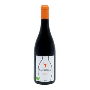 vacariça baga 2019