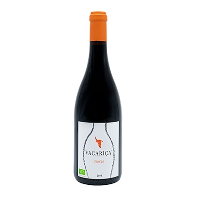 vacariça baga 2019